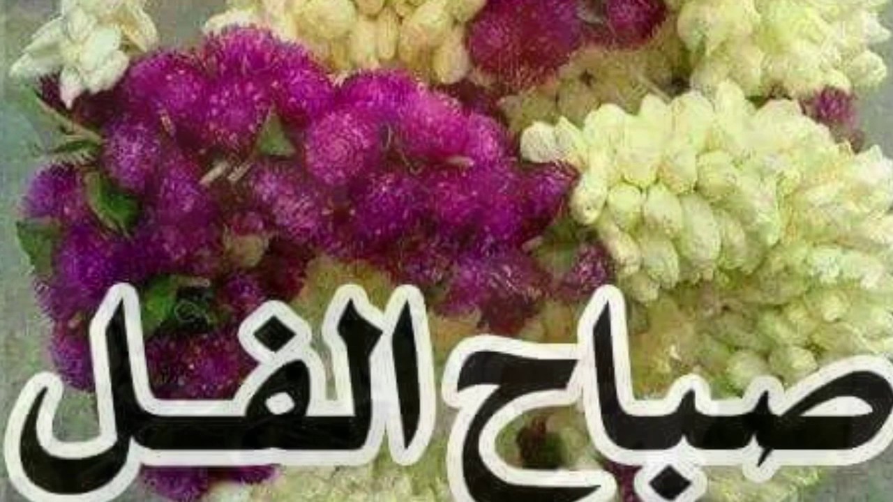 صور صباح الفل - ما اجمل الكلام الرقيق 745 14