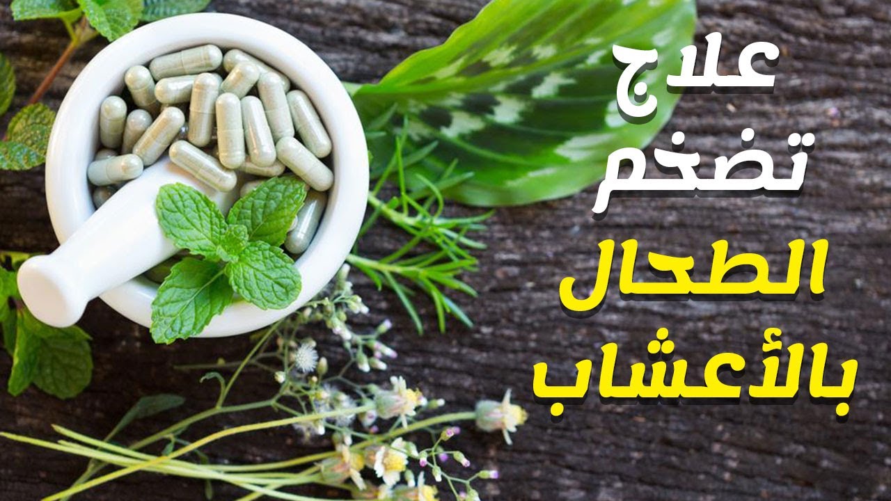 موسوعة الاعشاب الطبية وفوائدها بالصور- جميع فوائد الاعشاب 8494 11