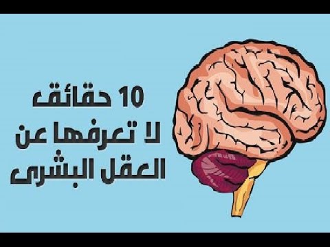 حقائق علمية - حقائق لا تعرفها علمية 3379 1