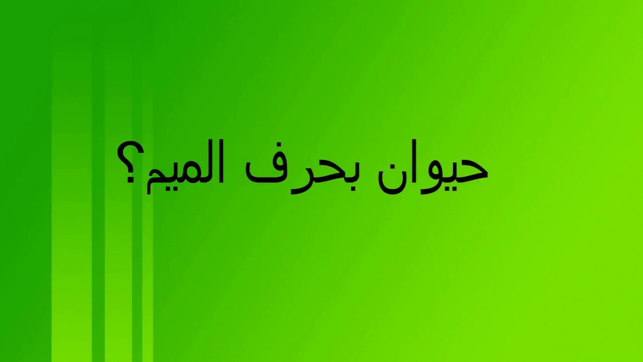 اسم حيوان بحرف الميم - لعبة تجنن العقول 9580 3