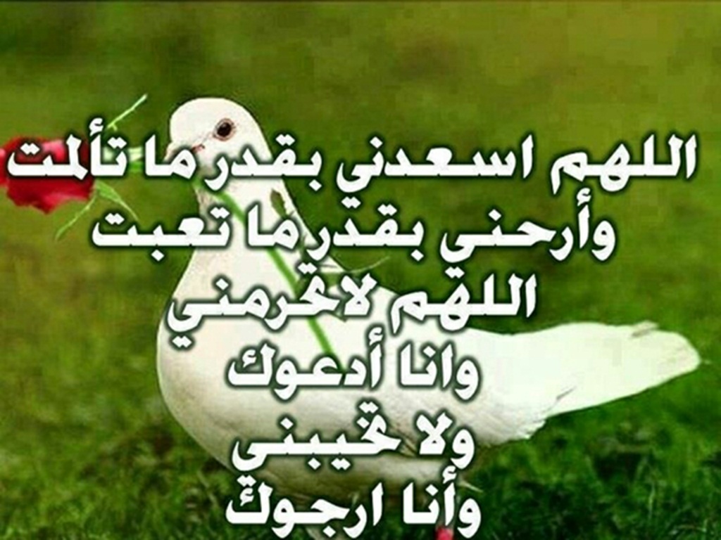 تنزيل ادعية , ادعيه في منتهى الروعه