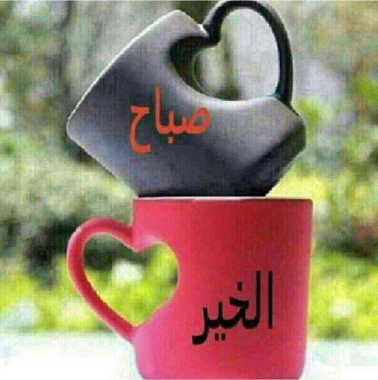 صور حلوه جديده - الصور تغير الشكل دائما 3810 7