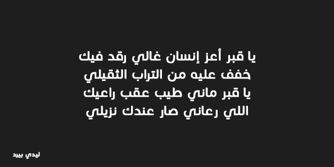 شعر عن الاب-لاب هو عمود البيت 261