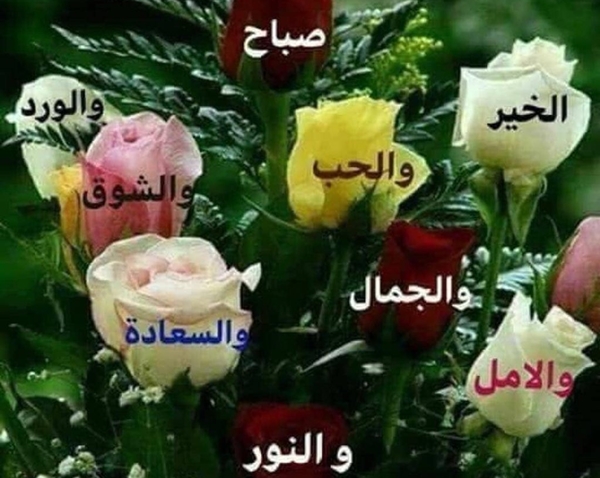 صور صباح الحب - صور احلى صباح 3916 6