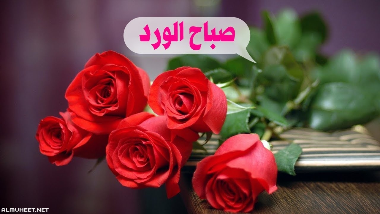 صباح الخير يا حبيبتي- صباح النور على الحبايب 3454 5