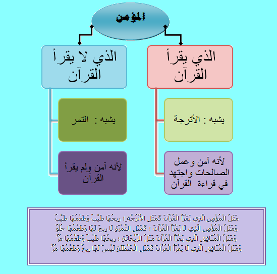 اعبر عن اعجابي باخلاق الخلفاء الراشدين وصفاتهم - اهم الخلفاء الراشدين 9677 5