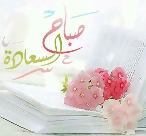 صباح نور - صور مذهله للصباح الجميل 1018 3