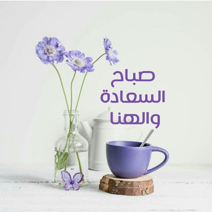 صور صباح السعاده - اجمل صور ترسلها قى الصباح 9504 15