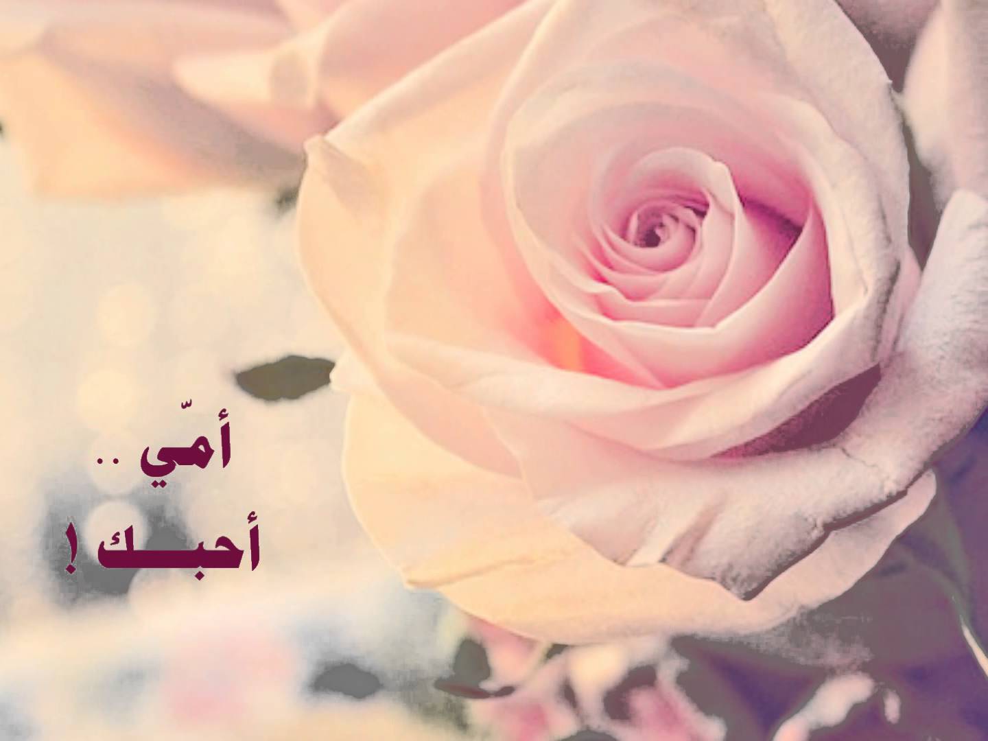 صور اسم امي - صورة مزخرفة للامهات 1868 10