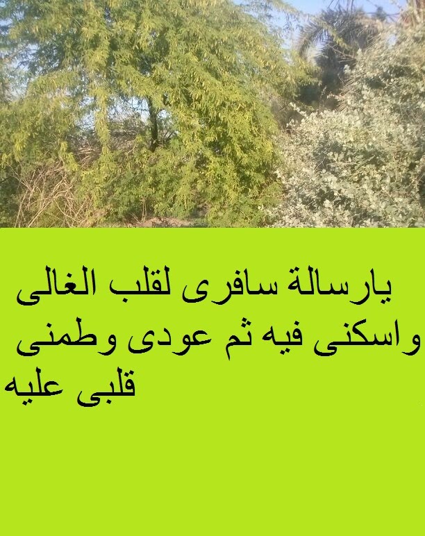 رسائل حب رومانسيه - رساله حب قوايه جدا 2479 1