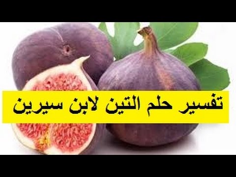 شجرة التين في المنام - ما هو تفسير رؤية شجرة التين في المنام 9175