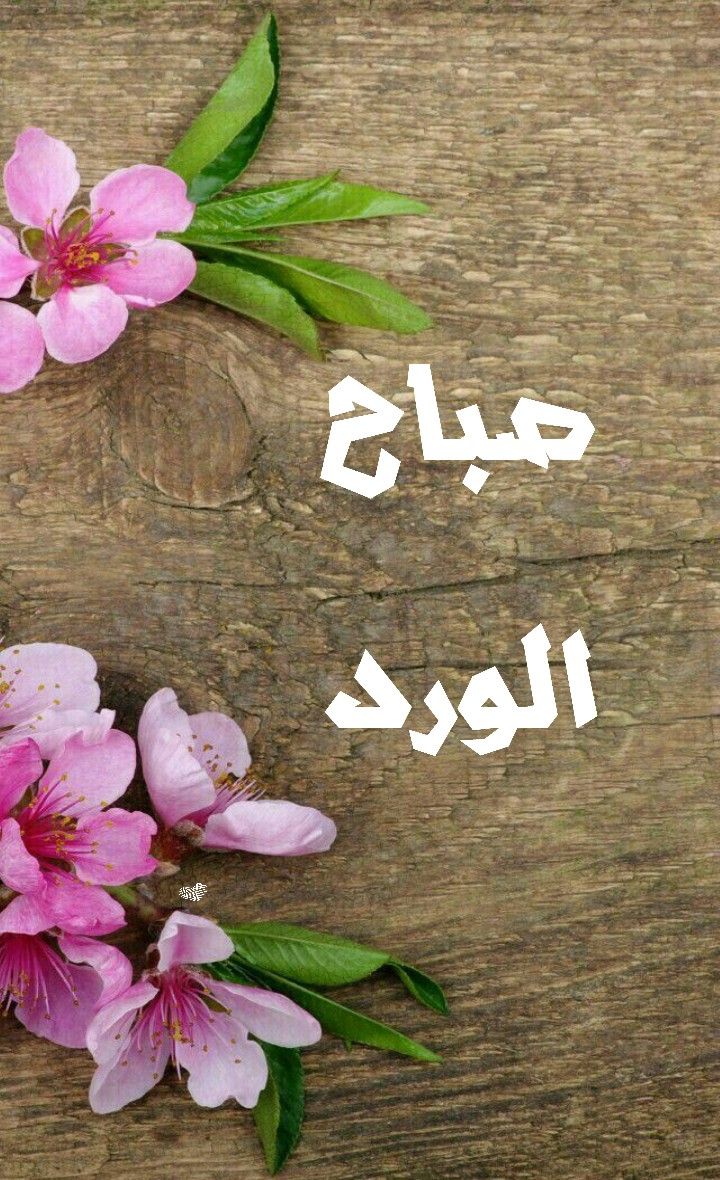 صباح خير - صور صباحية جميلة 2333 3