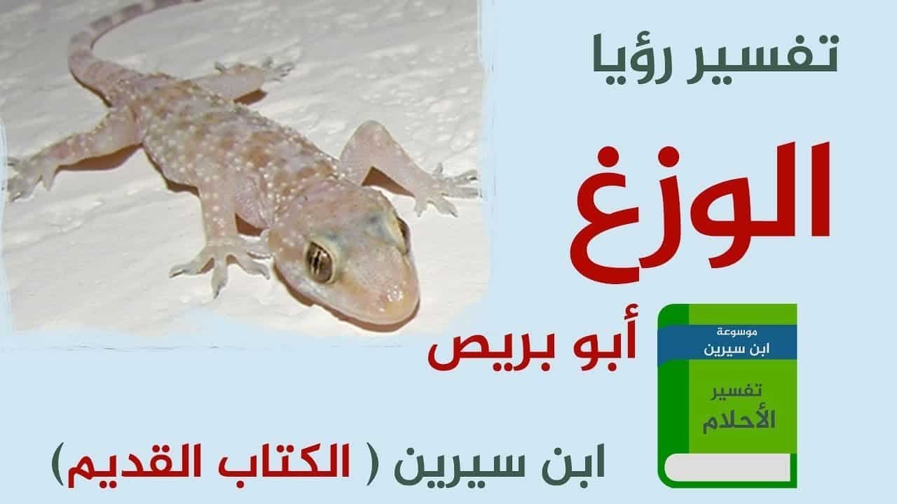 تفسير حلم الوزغ , التفسيرات كثيره جدا لكن ده مميز