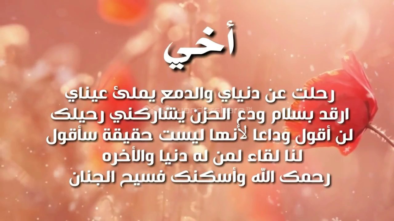 اجمل الصور عن الاخ والاخت - صور قمة في الروعة 1554 7