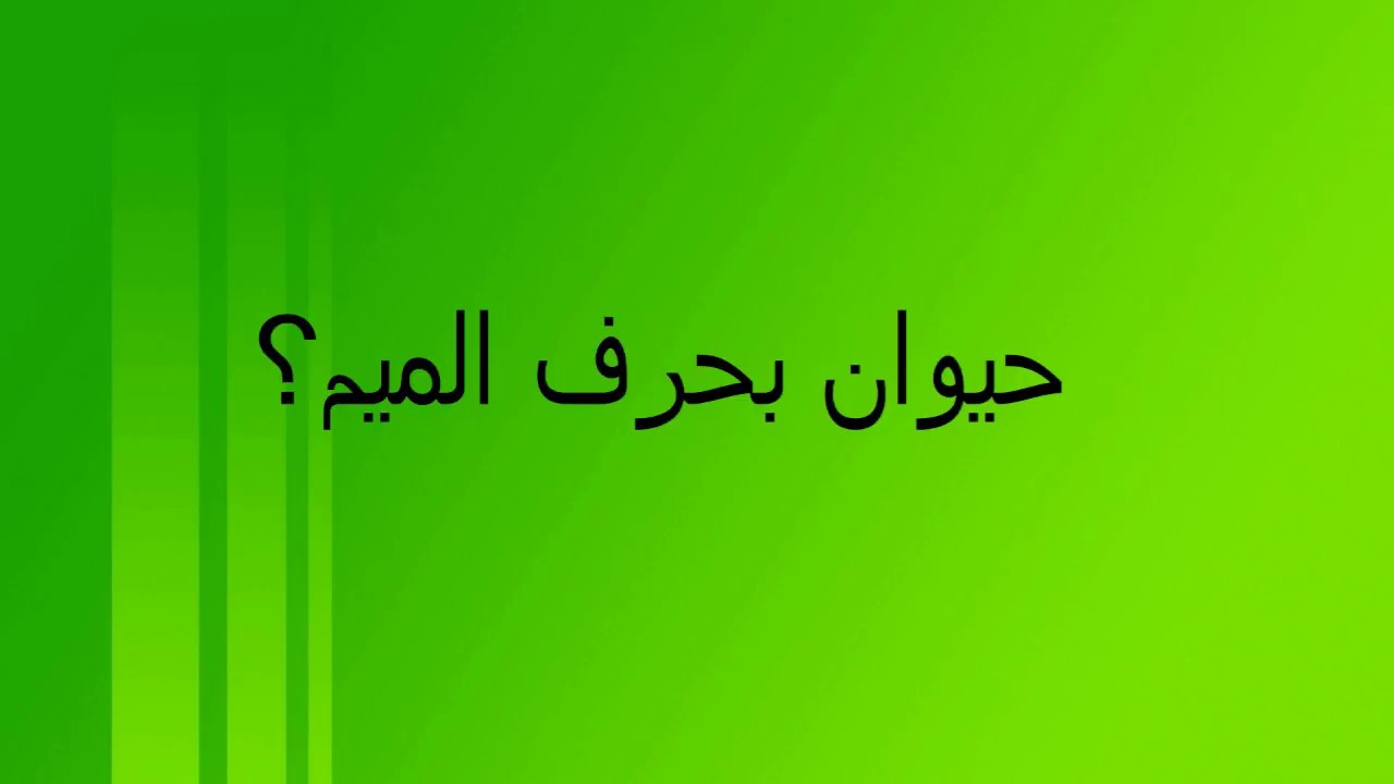 اسم حيوان بحرف الميم - لعبة تجنن العقول 9580