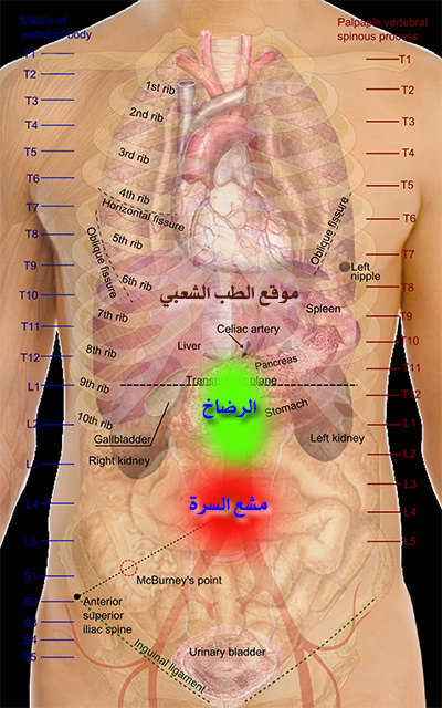 اعراض شلع السرة , ما هي ابرز اعراض شلع السرة من الجسم