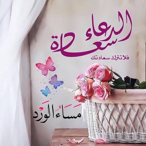 صور مساء - صور مساء الخير للاحباب 827 2