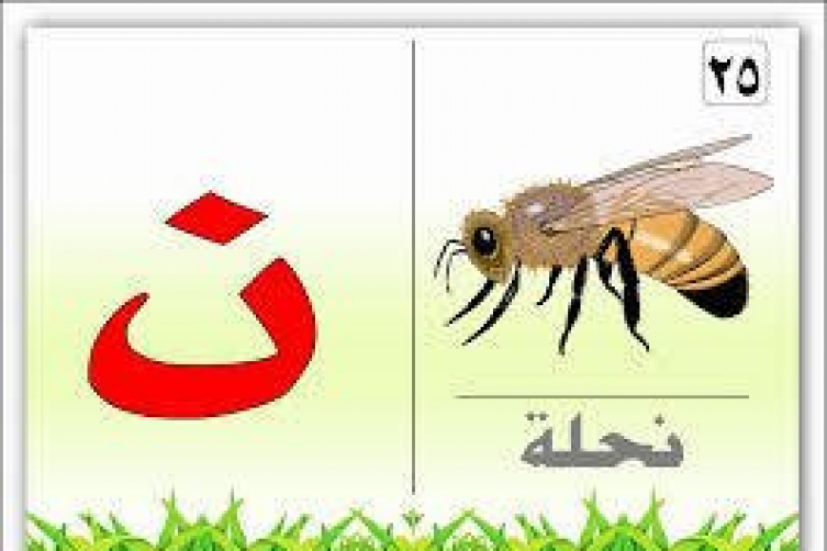 صور حرف ن , اخر الحروف الابجاديه ن