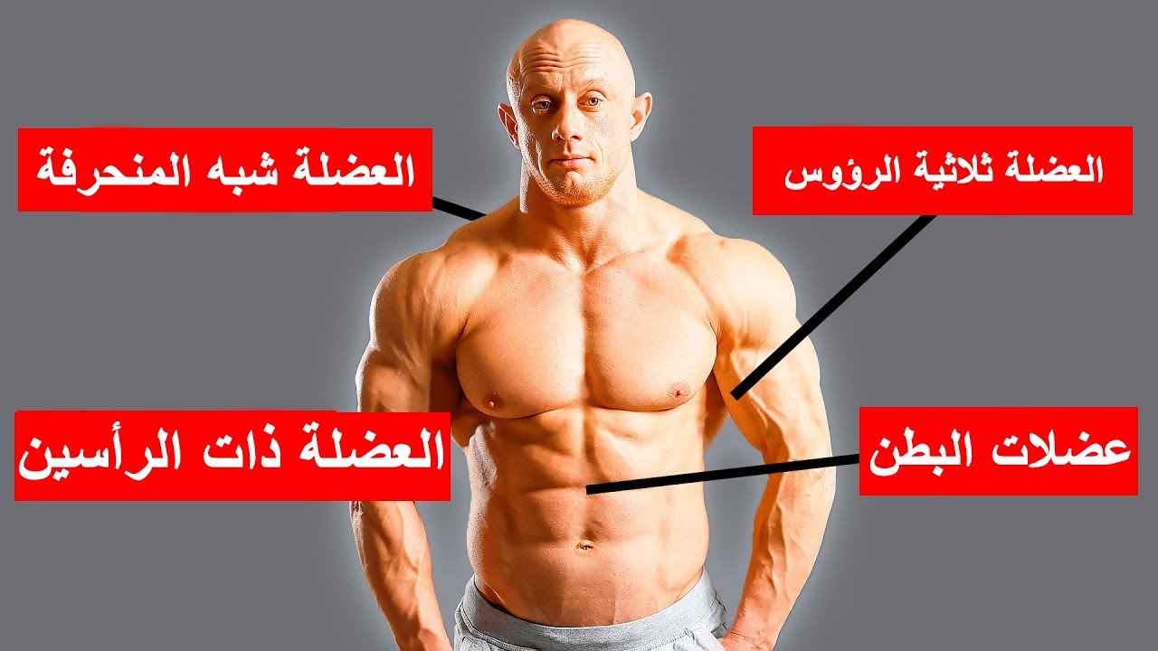 تمارين العضلات , خليها عضلات قويه