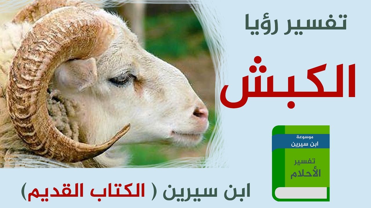 رؤيا الكبش في المنام , تفسير رؤيه الكبش في الحلم