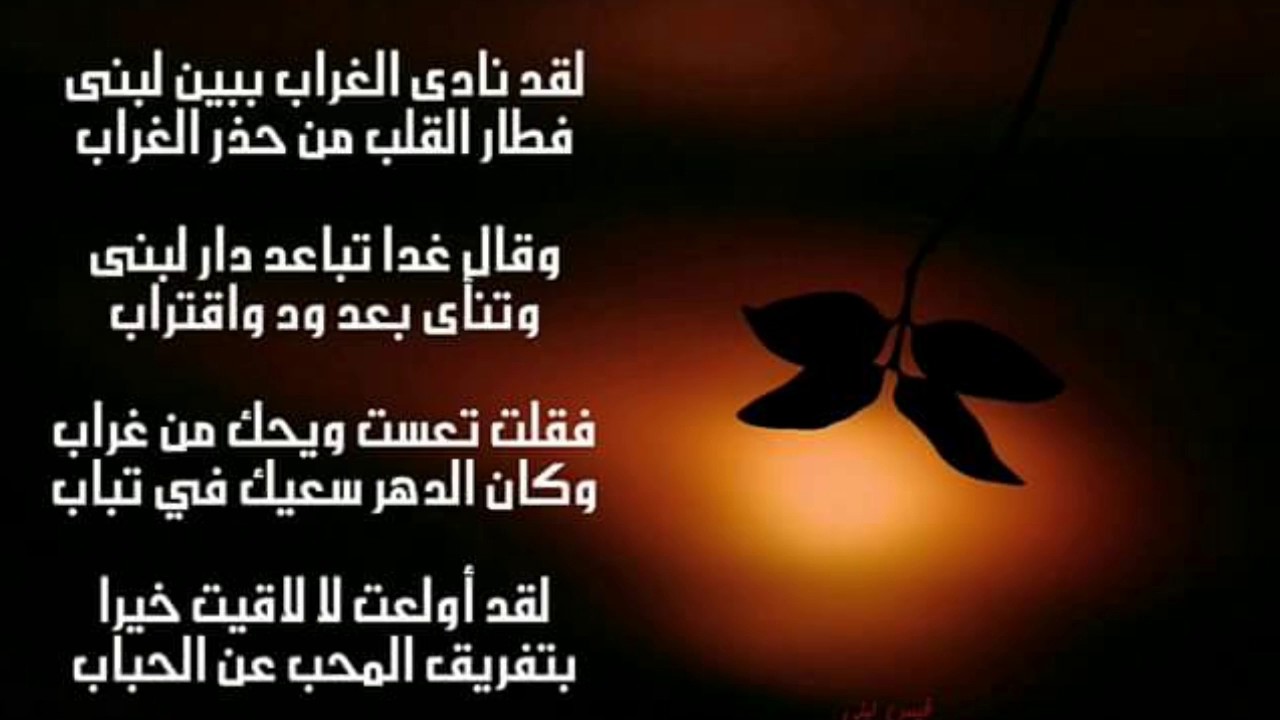 ابيات شعر حلوه -واو اجمل ابيات الشعر الرائعه 224 8