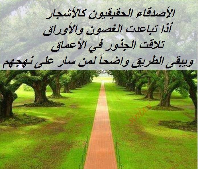 مقالات عن الصداقة - اجمل مقالة عن الصداقة 1462 9