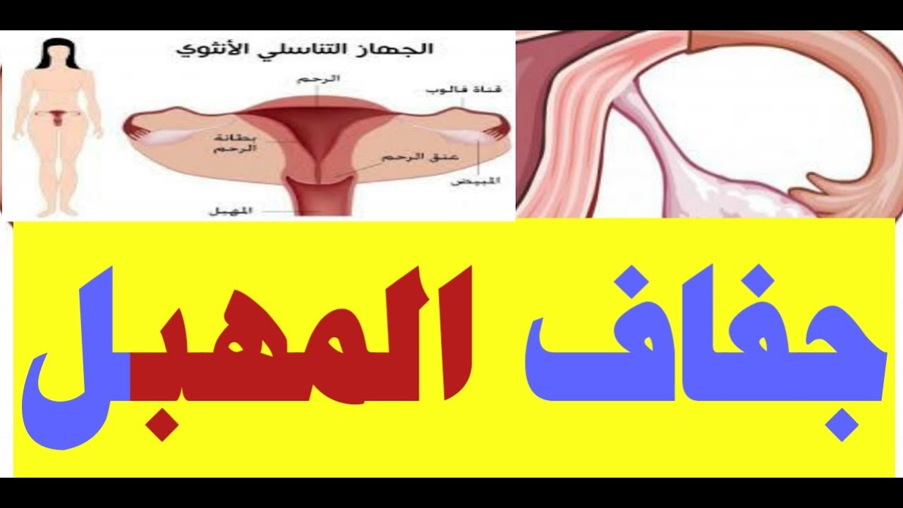 علاج جفاف المهبل - المهبل وعلاجه صعب اوي