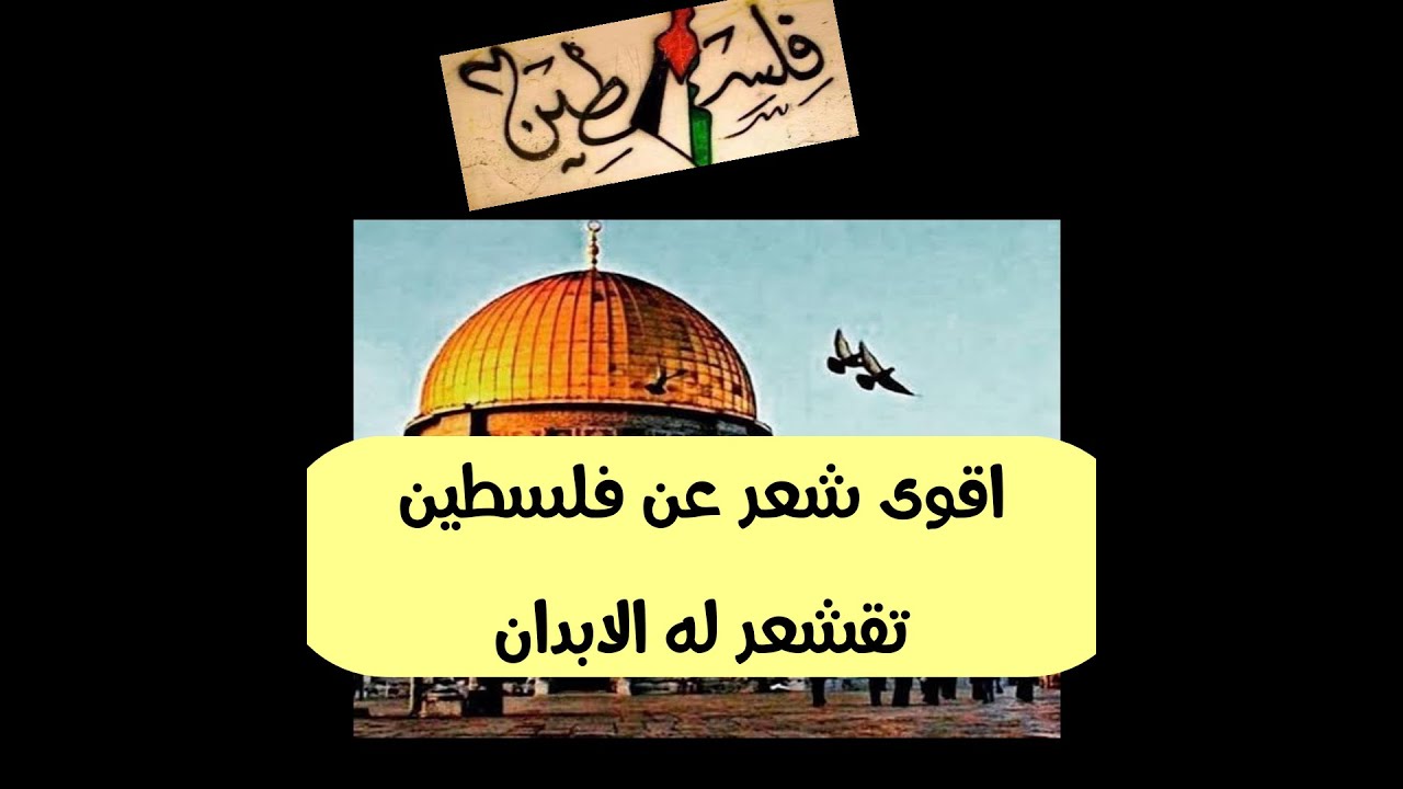 شعر عن فلسطين- فلسطين يا ارض الابطال 3746 8