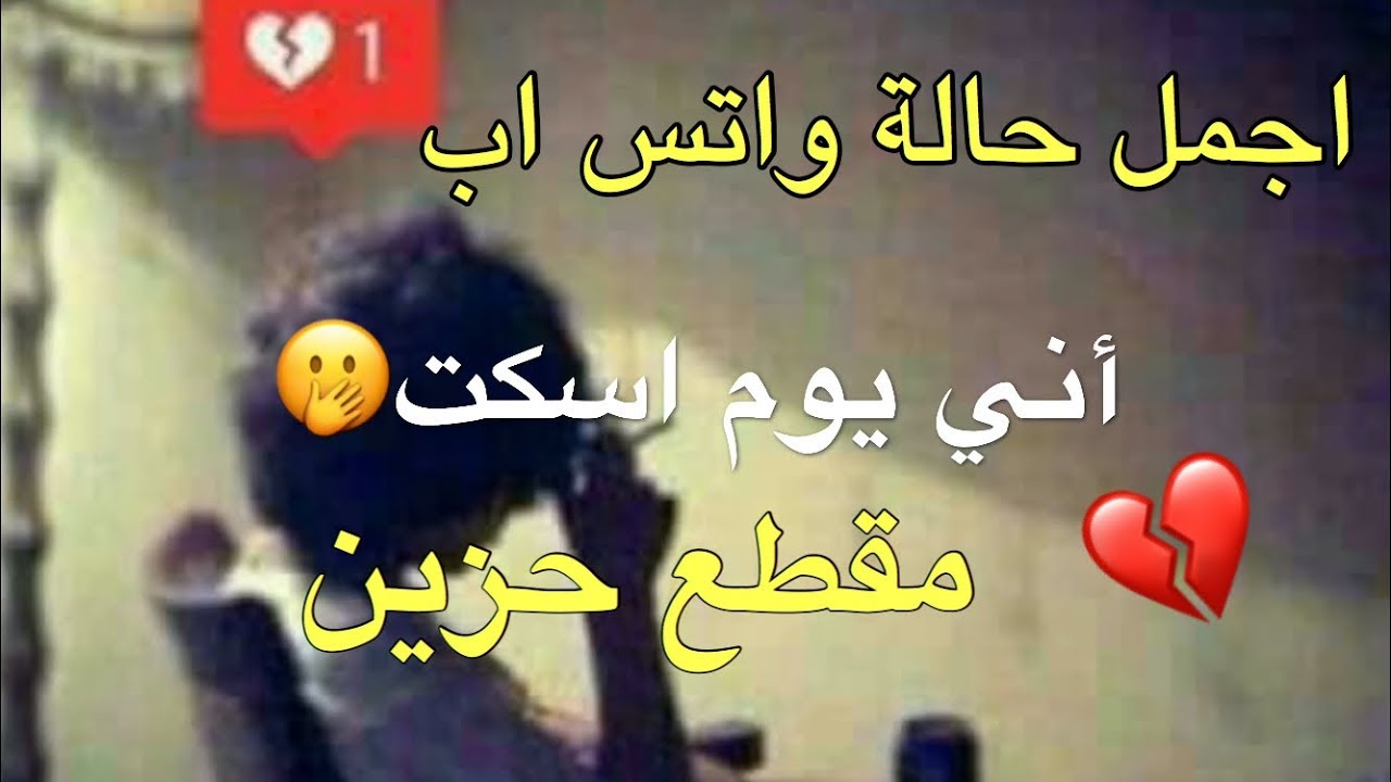 حالات واتس اب حلوه وروعه- لو عايزه حالات واتساب جديده مش هتلاقي اجمل من كده 1781 8