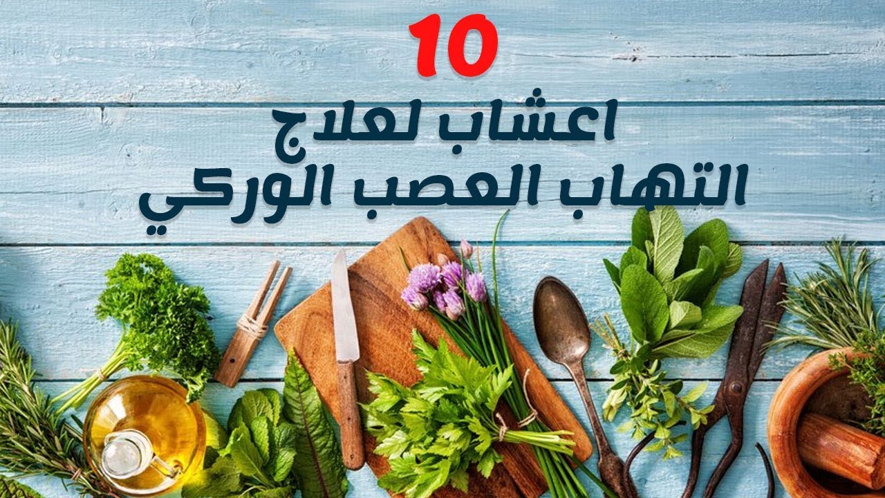 موسوعة الاعشاب الطبية وفوائدها بالصور- جميع فوائد الاعشاب 8494 10