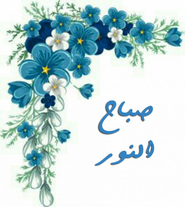 صور صباح النور - صور اجمل صباح 3590 3