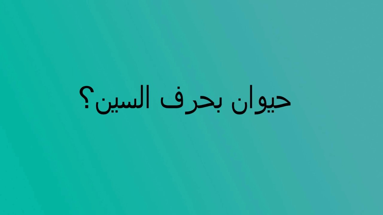 اسم حيوان بحرف الميم - لعبة تجنن العقول 9580 6