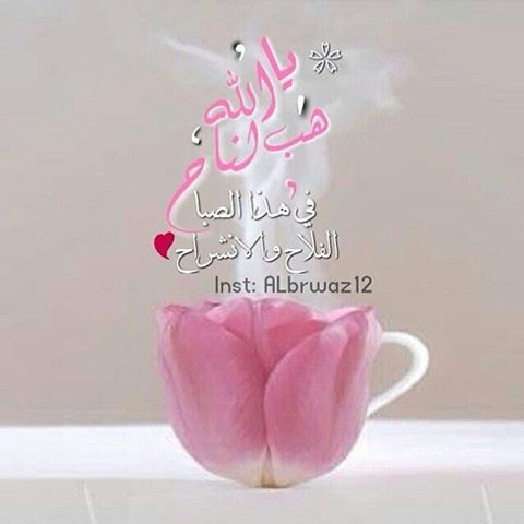 صباح نور - صور مذهله للصباح الجميل 1018 2