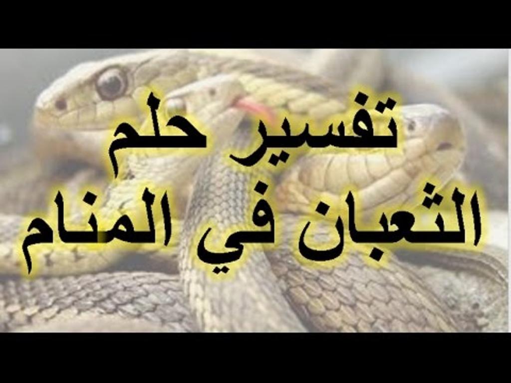 تفسير حلم الثعبان , بيدل على ايه رؤيه الثعبان في الحلم