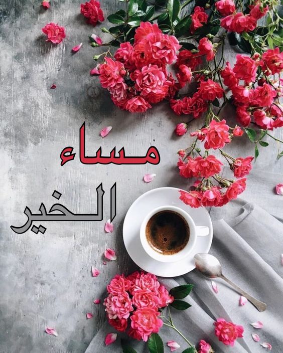 صور عن مساء الخير - اجمل الصور الثابتة والمتحركة للمساء 3518 17