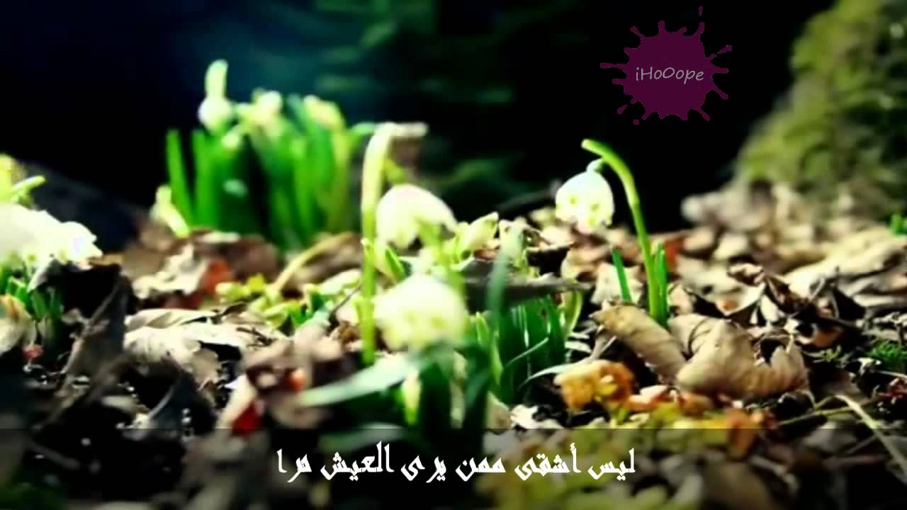 قصيدة فلسفة الحياة - الفلسفه في الحياه اساسي 8672 8