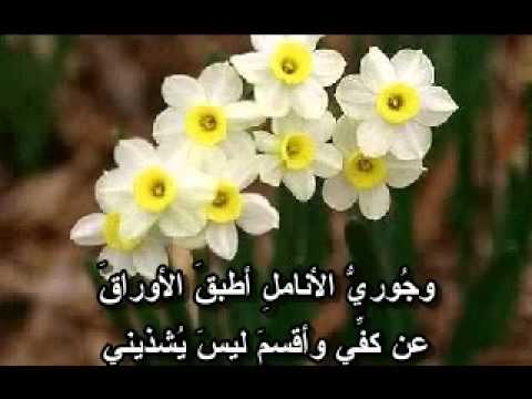 شعر عن الورد - كلام لذيذ عن الازهار 2880 2