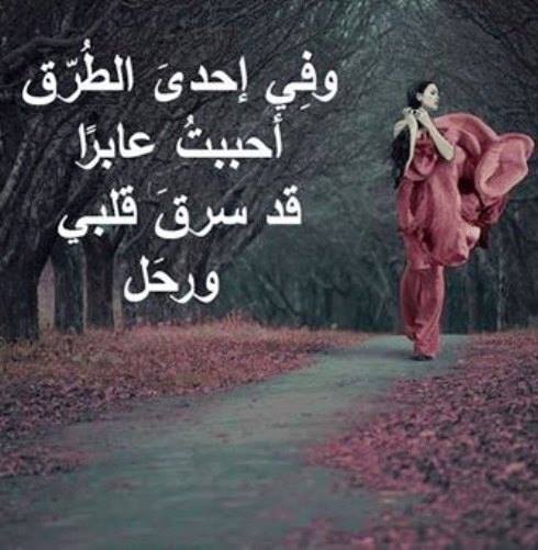 صور حلوه جديده - الصور تغير الشكل دائما 3810 6