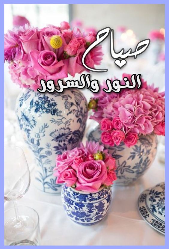 صور صباح النور - صور اجمل صباح 3590 1