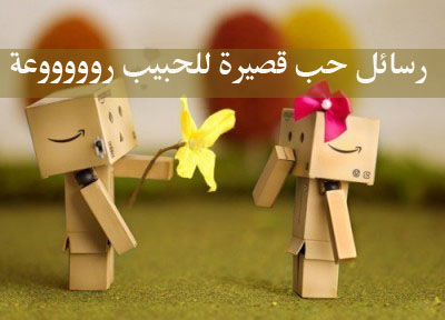 رسائل بحبك - كلمات حلوة للحبيب 3669 12