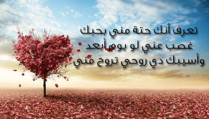 رسائل حب رومانسيه - رساله حب قوايه جدا 2479 5