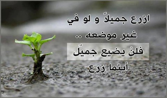 صور حكمة - ابلغ ما قيل من حكم و وصايا 3134