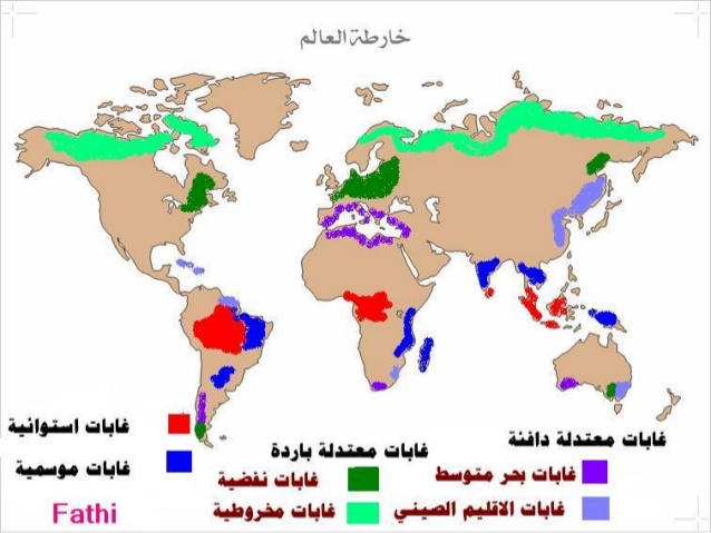 خريطة جدة كاملة - جدة وجمال اماكنها 9360 2