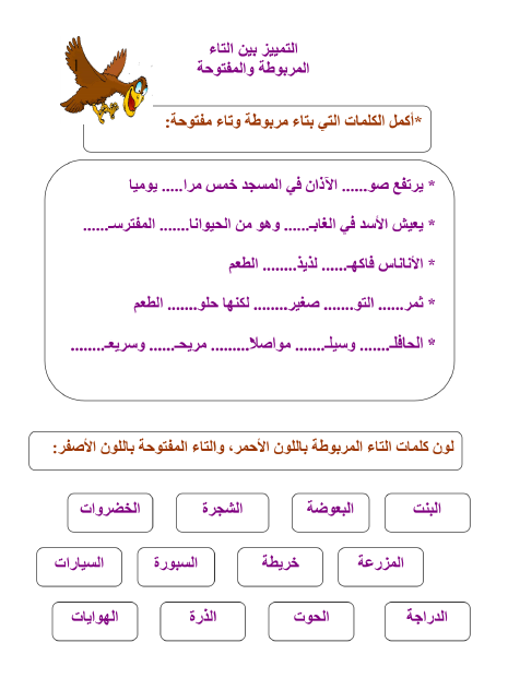 تمارين في التاء المربوطة والمبسوطة , اسهل طرق لنطق وكتابة التاء