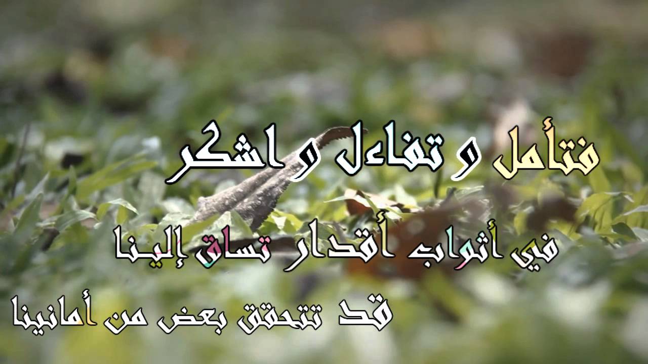 همسة صباحية - اطيب همسات الصباح المعبرة 3032 5