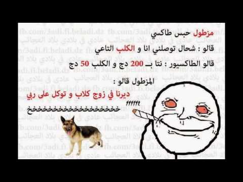 صور مضحكة جدا - اضحك مع الصور 2783 6