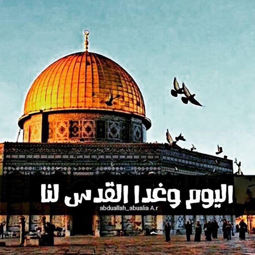 شعر عن فلسطين- فلسطين يا ارض الابطال 3746 13