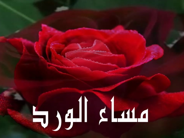 صور مساء النور - صور مساء الخيرات 896 12