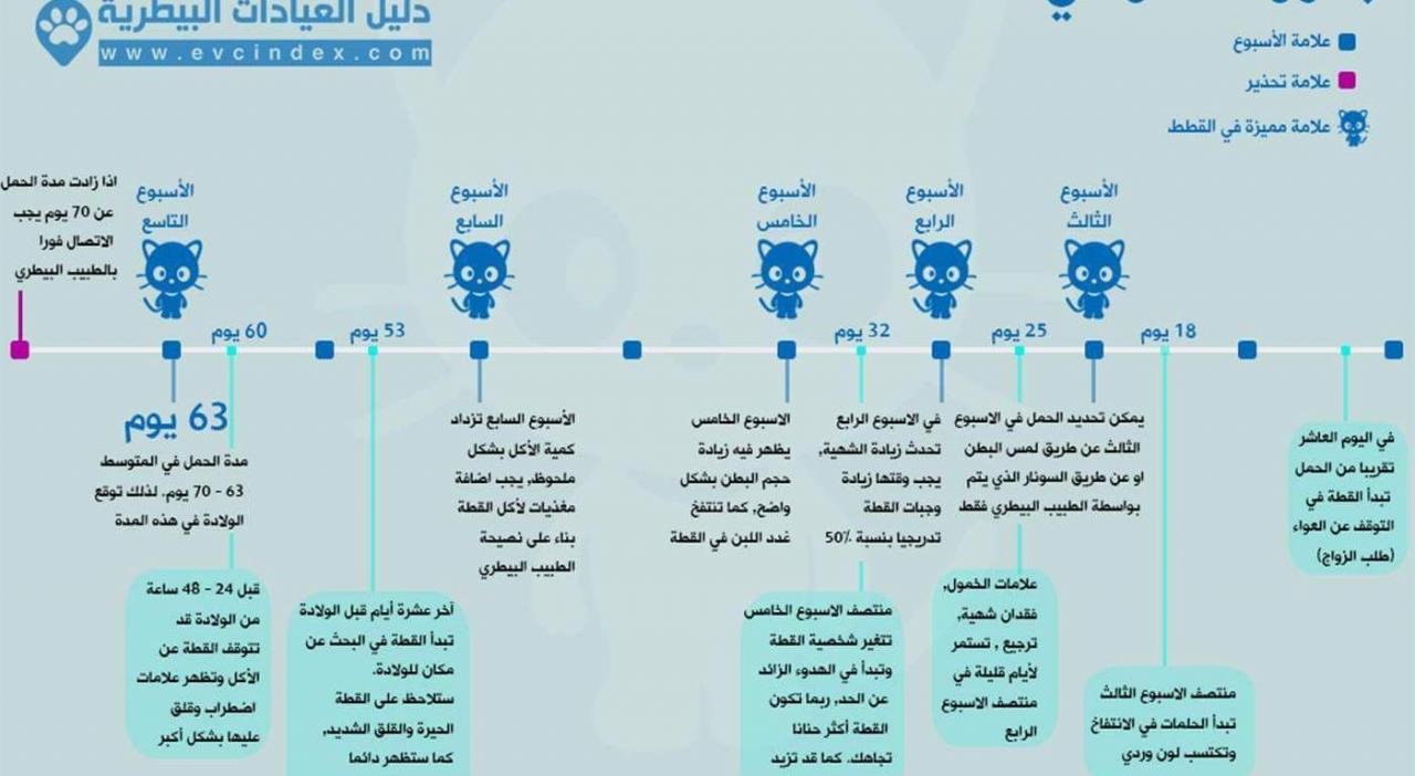 مدة حمل الحيوانات , هتستغربي جدا لما تعرفي فترات حمل الحيوانات