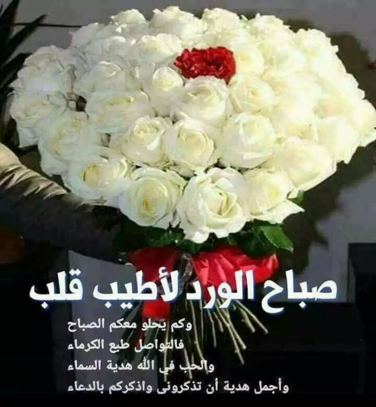 صور صباح خير - صور صباح التفاؤل 808 9